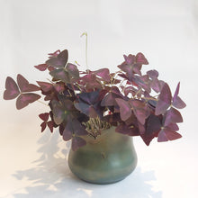 Last inn bildet i Galleri-visningsprogrammet, Krukke i messing CAROLINA