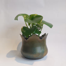 Last inn bildet i Galleri-visningsprogrammet, Krukke i messing CAROLINA