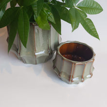 Last inn bildet i Galleri-visningsprogrammet, Krukke
