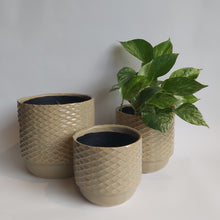 Last inn bildet i Galleri-visningsprogrammet, Krukke
