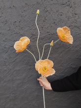 Last inn bildet i Galleri-visningsprogrammet, Valmue silkeblomst 109 cm
